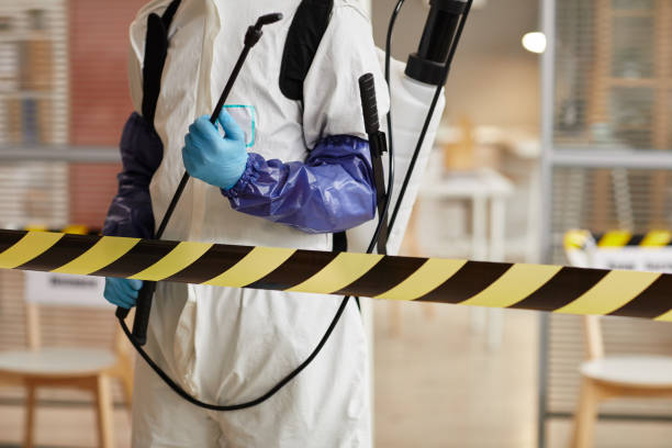 Professional Hoarding Cleanup technician working in Highland Park, MI